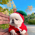 Cute Fruit Dog Clothes For Small Dogs Hoodies Winter Warm Fleece Pet Clothing Puppy Cat Costume Coat For French Chihuahua Outfit My Store