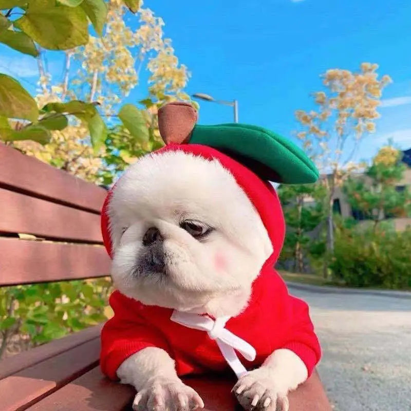 Cute Fruit Dog Clothes For Small Dogs Hoodies Winter Warm Fleece Pet Clothing Puppy Cat Costume Coat For French Chihuahua Outfit My Store