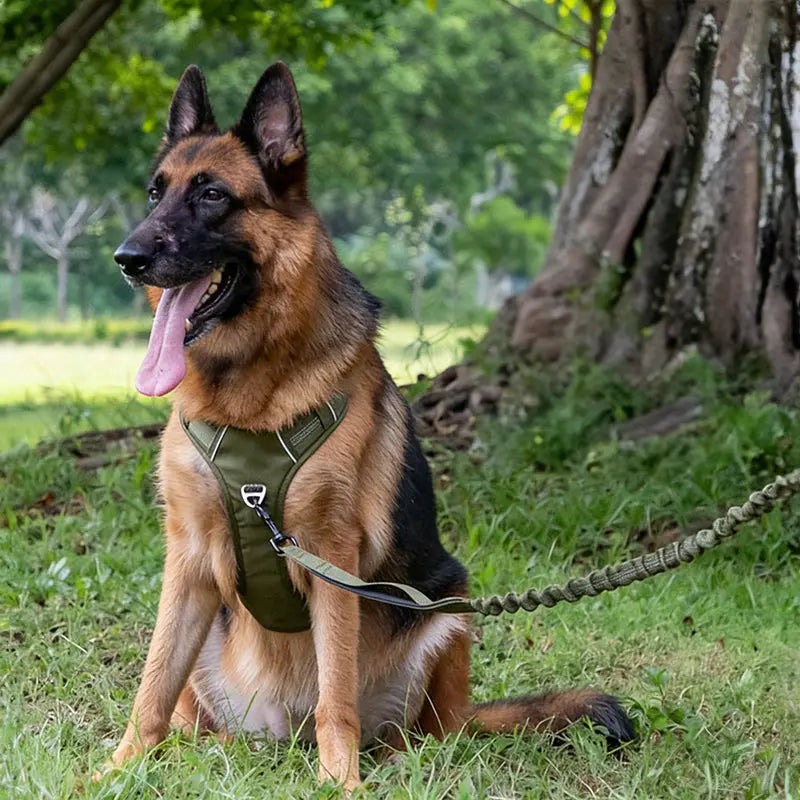 Breathable Reflective Dog Harness Vest, Outdoor No-Pull Escape-Proof Harness with Leash for Large & Medium Dogs eprolo