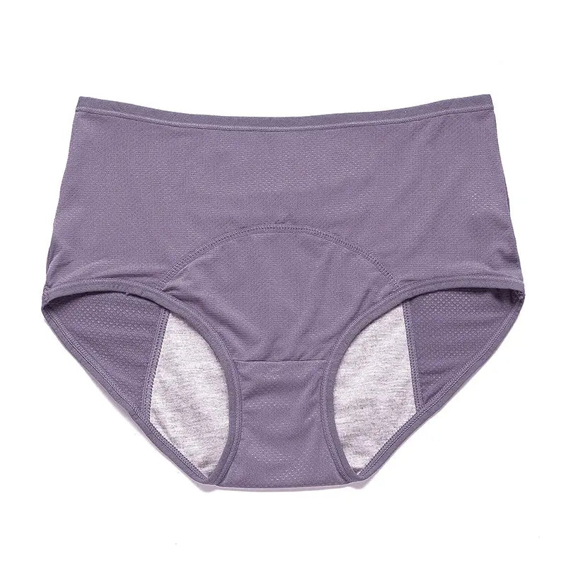 Menstrual Briefs Leak Proof Incontinence Environmetal Underwear Period Panties High Warm Female Women Sexy Pants My Store