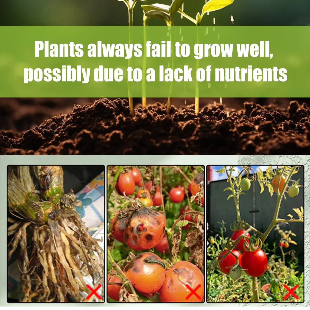 MoonSpry Plant Catalyst Stick, Plant Fruit And Vegetable Pot Flower Bud Flower Hair Root Growth Fertilizer Stick eprolo