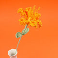 Adorable Crochet Flower Bouquet, Handmade Wedding & Home Decor, Perfect Mother's Day Gift eprolo