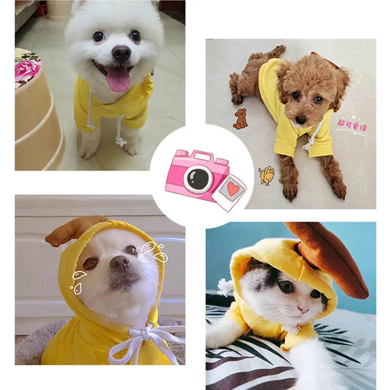 Cute Fruit Dog Clothes For Small Dogs Hoodies Winter Warm Fleece Pet Clothing Puppy Cat Costume Coat For French Chihuahua Outfit My Store