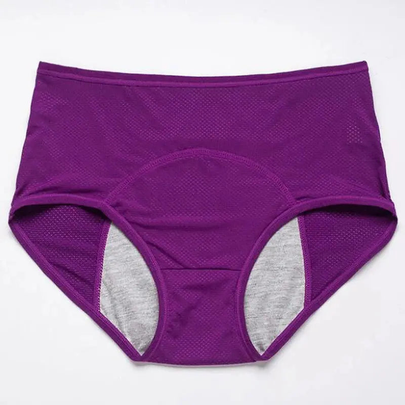Menstrual Briefs Leak Proof Incontinence Environmetal Underwear Period Panties High Warm Female Women Sexy Pants My Store
